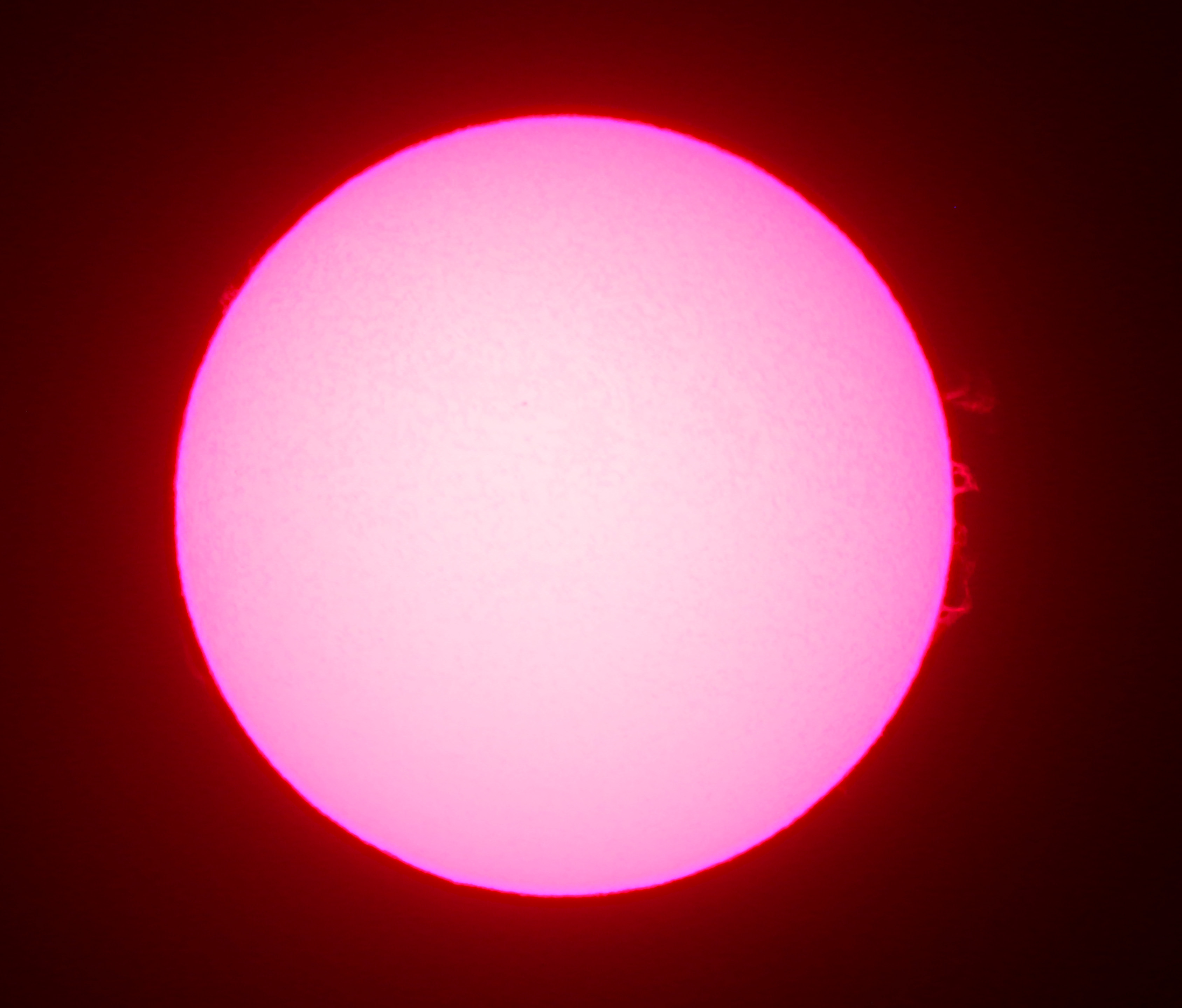 2015.06.02 태양.jpg