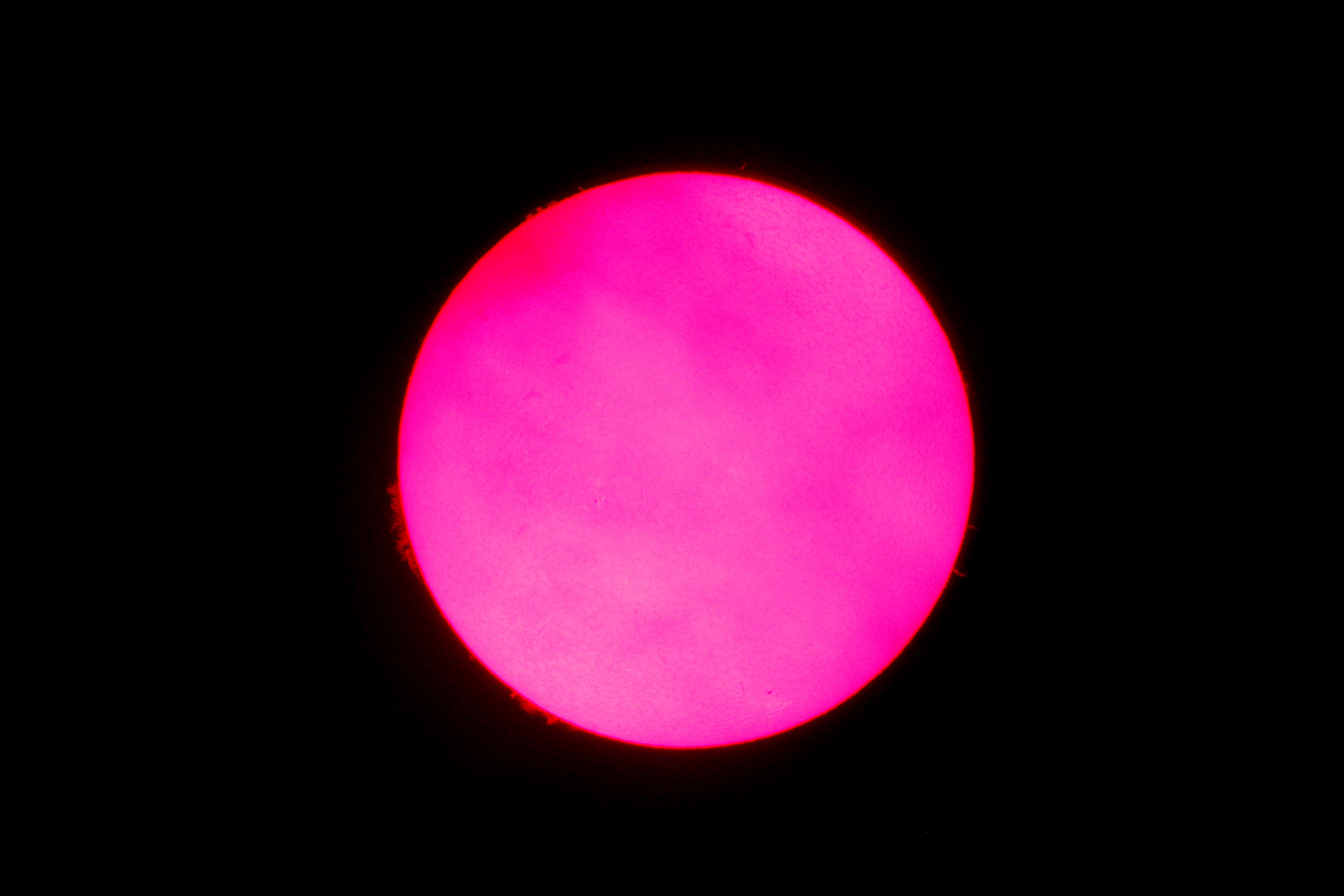 2013.7.16 태양.jpg