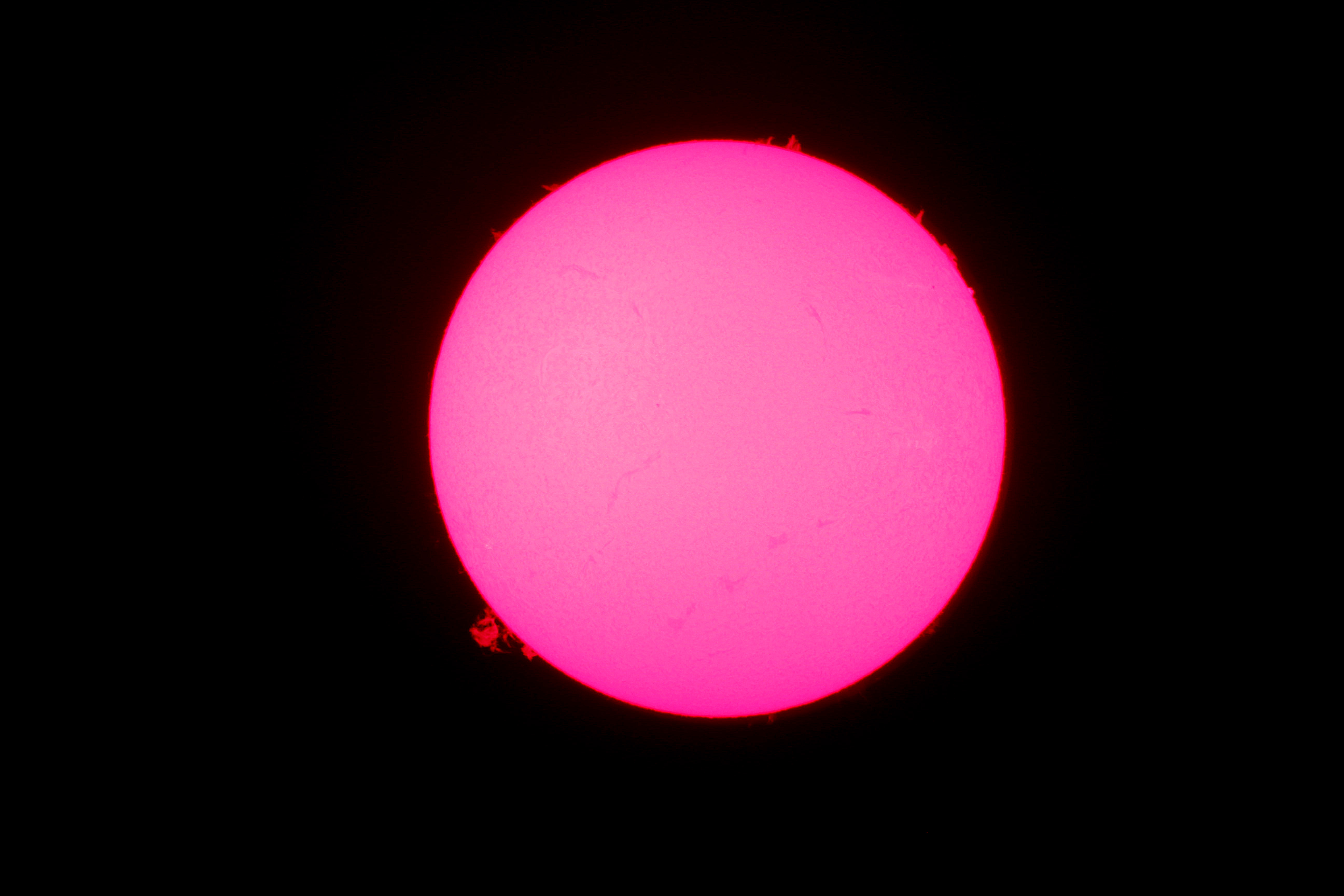 2013.5.30 태양.jpg