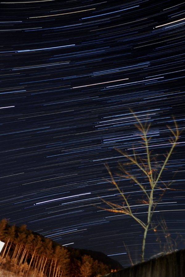 101128-Startrails Orion.jpg