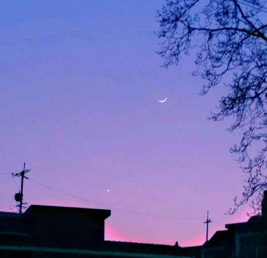 2015.1.22 초저녁의 달과 금성.jpg