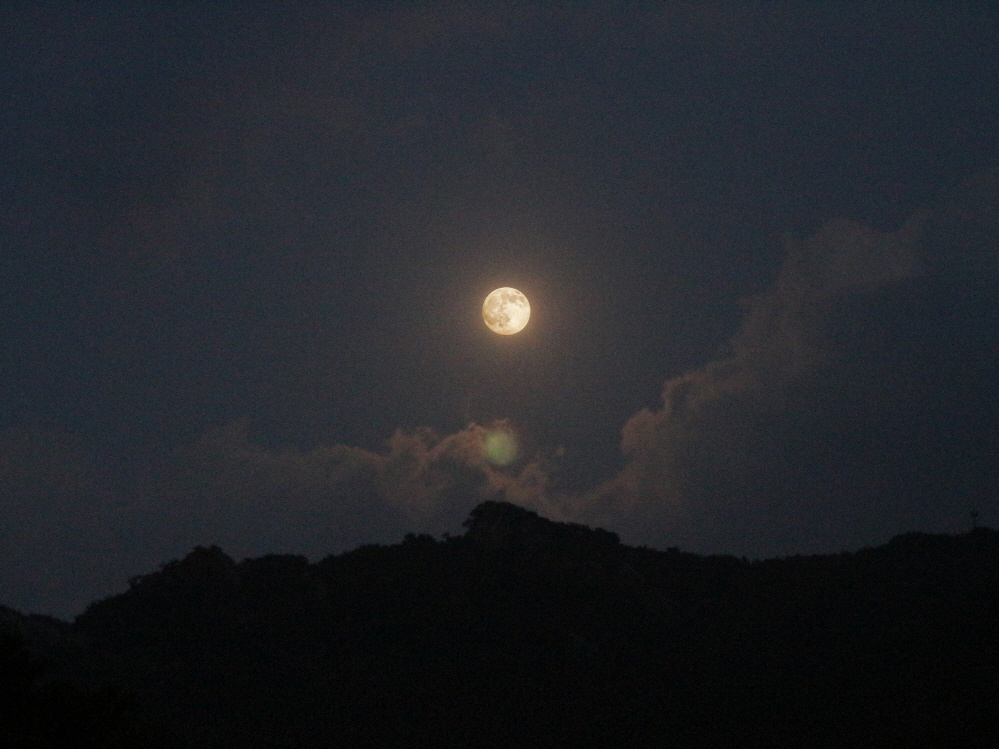 2015.07.01 배경있는 달.jpg