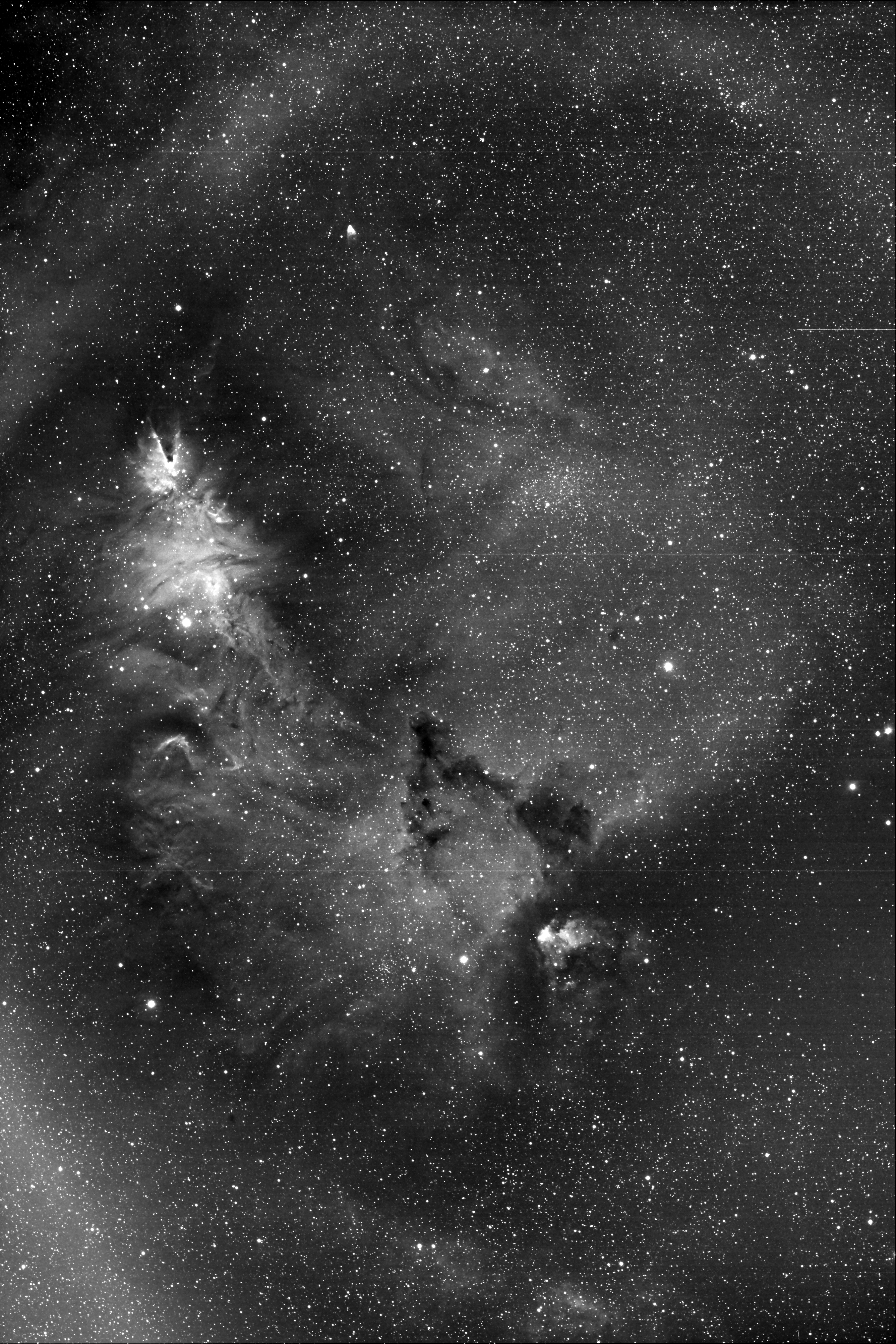 ngc2264.jpg