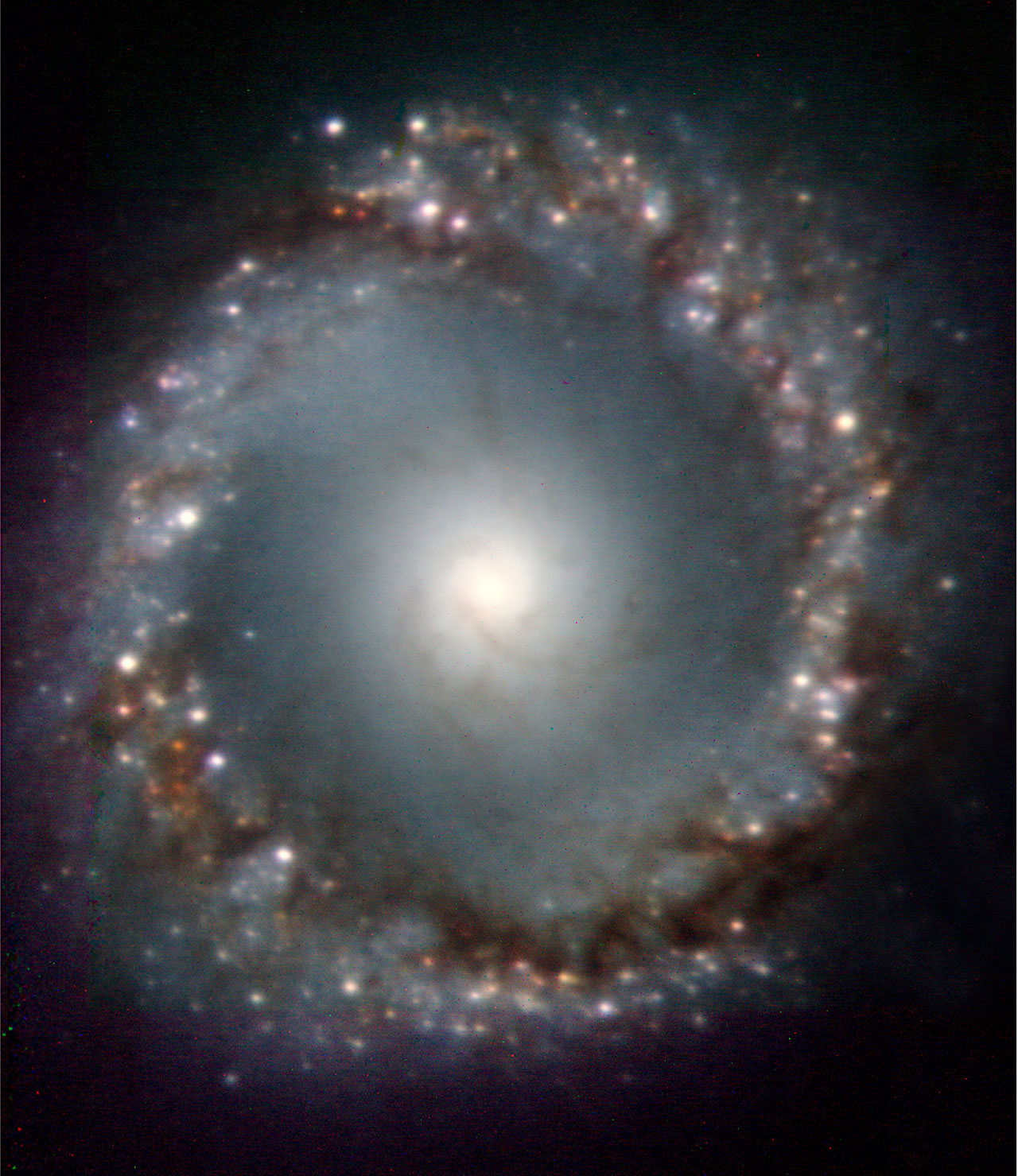 S&M-Ring galaxy-NGC 1097-eso0534a.jpg