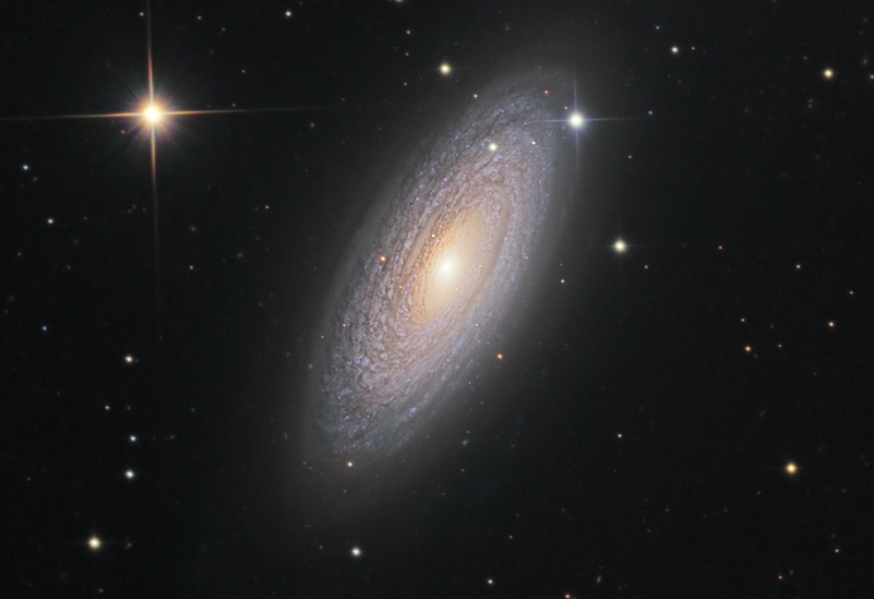 Celestial Event-Garradd 혜성-NGC2841.jpg