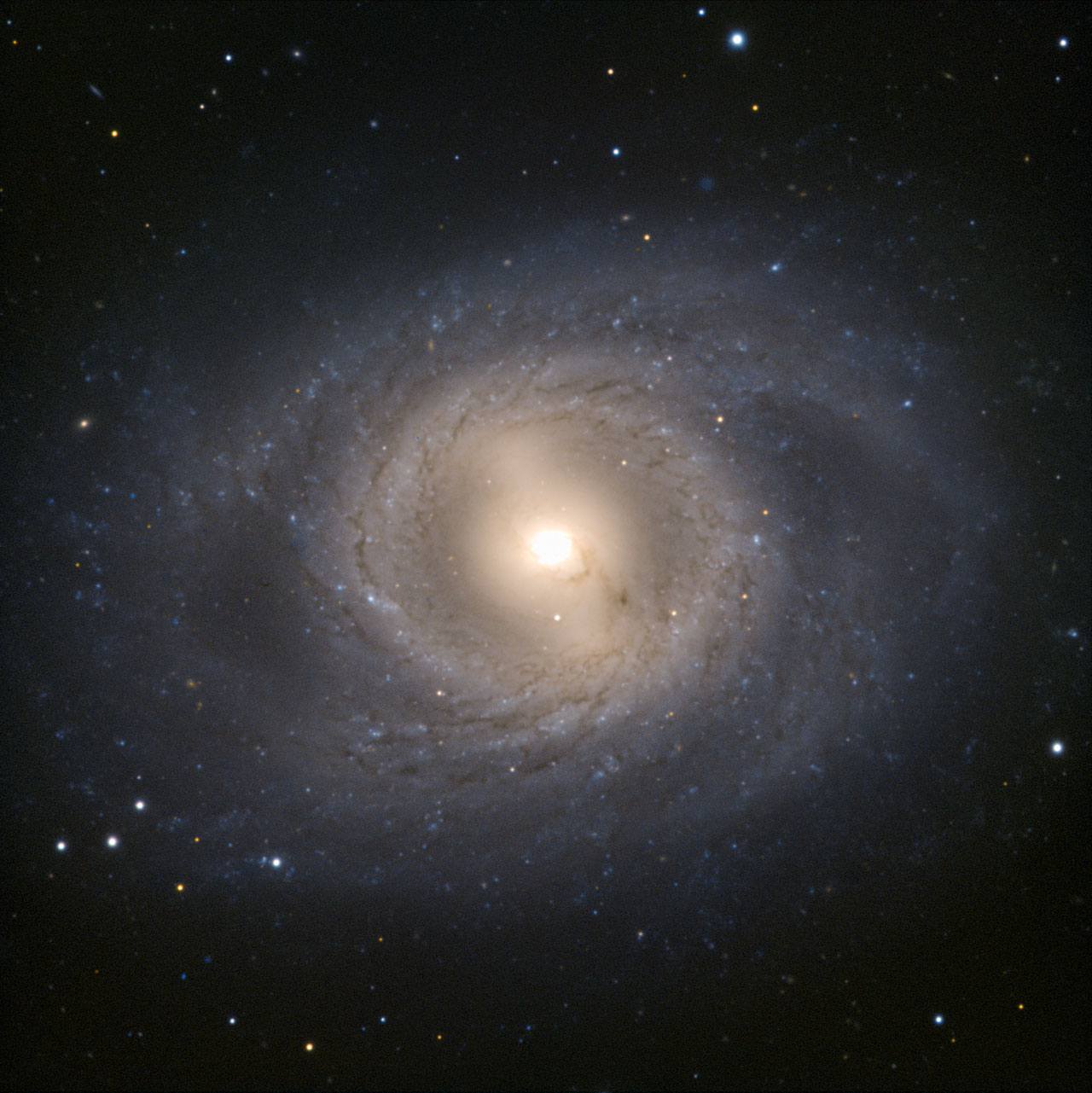 4월1주-News-초신성-M95-VLT 사진.jpg