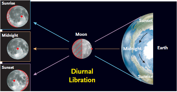 4월1주-Moon-칭동원인-일주칭동.PNG