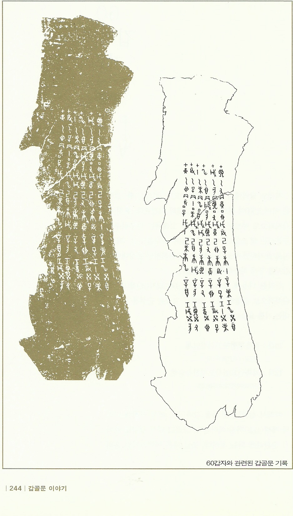 11 Esse 6 10간12지 탁본+모사본.jpg