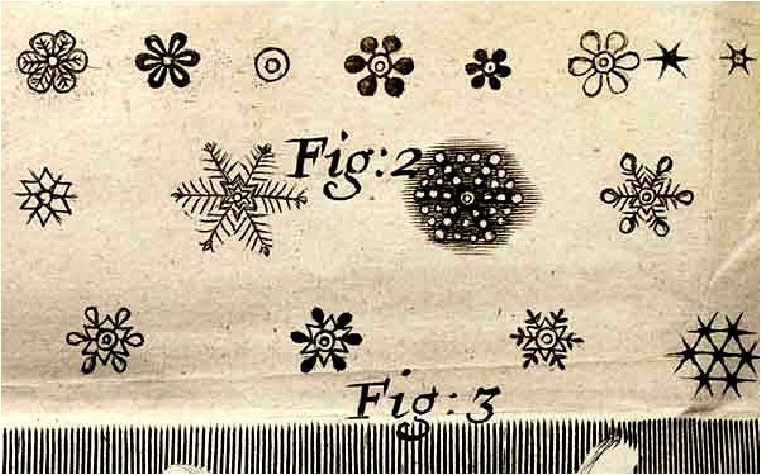9-3 4 Micrographia 책 내용.PNG