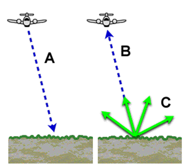 5월1주-Life-1-Belt-Backscattering.PNG